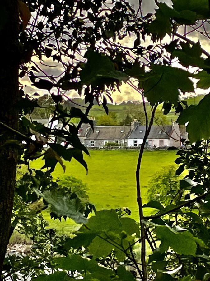 Apple Cottage นิวตันสจวร์ต ภายนอก รูปภาพ